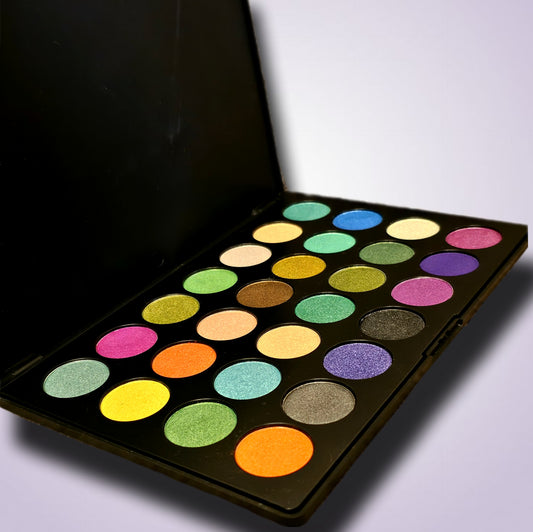 MAC PROFESSIONAL MAKEUP EYESHADOW PALETTE